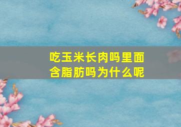 吃玉米长肉吗里面含脂肪吗为什么呢